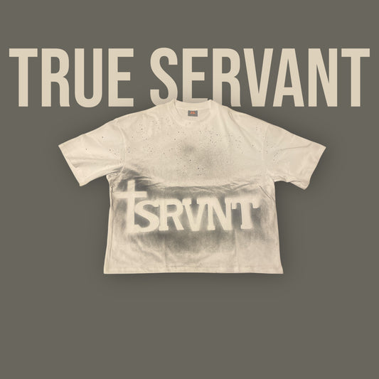 Spray Wash Boxy Cropped Oversized Heavyweight Short Sleeve Tee - “SRVNT”